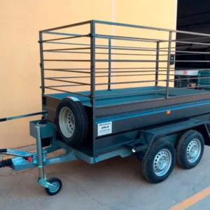 Remolque 2 ejes 2.500 x 1.300 x 500 – Reforzado – Mma 750 kg